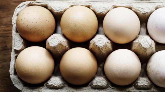 Cara Membuat Telur Dadar yang Enak dalam 5 Menit