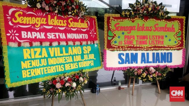 Ahli: Setnov Bisa Lepas dari Hukum Jika Sakit Jiwa atau Wafat