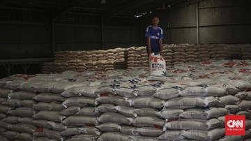 BPS Sempurnakan Data Beras, Estimasi Kementan Lebih Tinggi