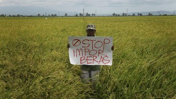 pbb-sebut-swasembada-beras-bukan-solusi-ketahanan-pangan-ri