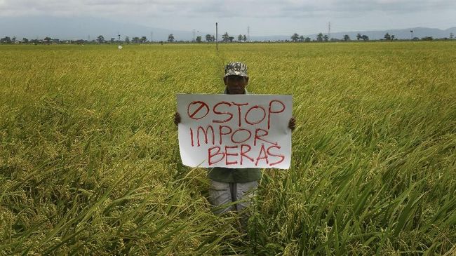 pkb-curiga-kejanggalan-data-di-balik-rencana-impor-beras