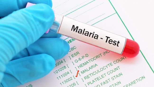 7 Fakta yang Harus Diketahui tentang Malaria