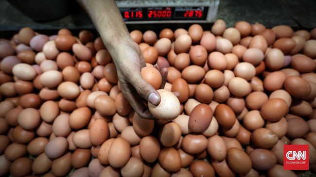 penjual-dan-pembeli-ngeluh-harga-telur-naik