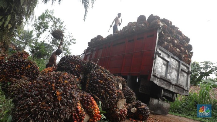  Dalam Kondisi Berat, PTPN Punya Utang Rp 48 T