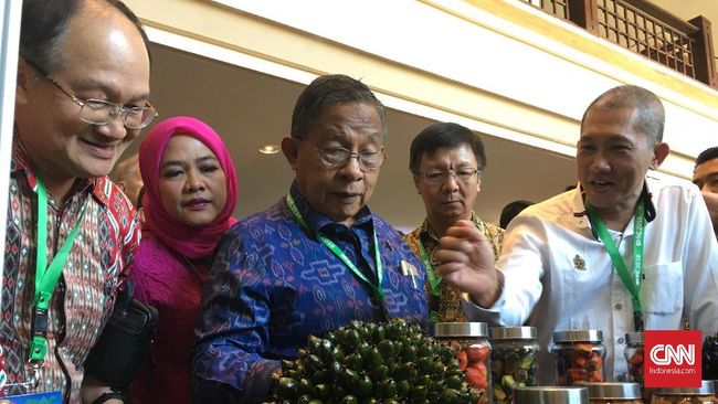 Menko Darmin Akui Sulit Wujudkan Janji Pertumbuhan Jokowi