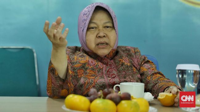 Risma: Saya Dibilang Muka Jelek, Tidak Layak di Jakarta