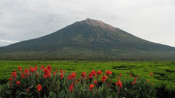 Apa yang Terjadi Jika Seandainya Tidak Ada Gunung di Muka Bumi?