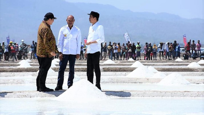 RI Kembali Impor Garam, Janji Swasembada Jokowi Dipertanyakan