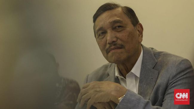 Luhut: Tesla, BYD, Semua Pemain Besar Mobil Listrik Akan Masuk RI 