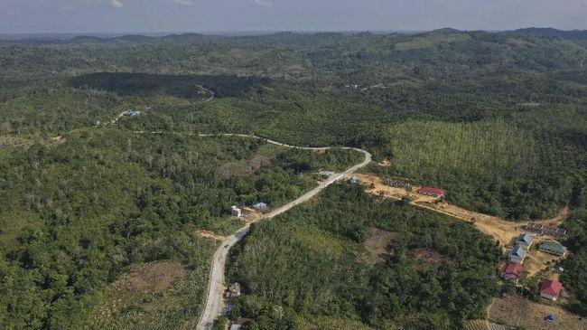Banjir Rendam Sawah di Ibu Kota Baru, 277 Siswa SD Diliburkan