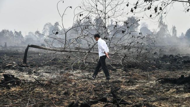 Ironi Pidato Pamer Jokowi di COP26 dan Potret Nyata Alam Indonesia