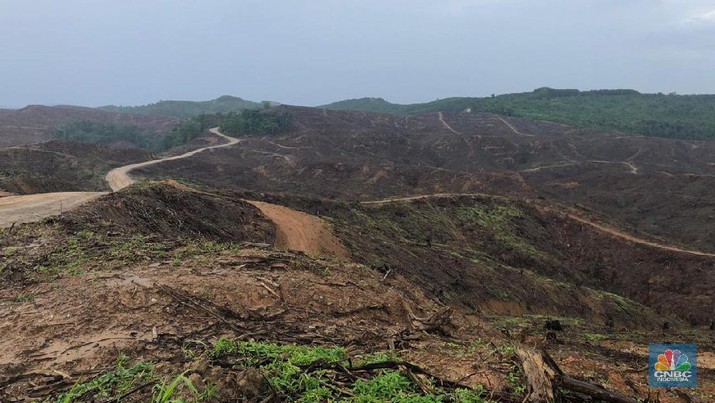 mati-kutu-ini-jurus-jokowi-bendung-kenaikan-harga-tanah-ikn