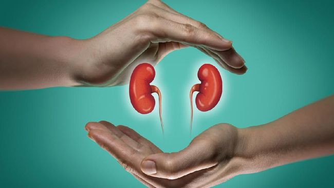 Peneliti Ingatkan Lonjakan Kasus Ginjal Kronis Akibat Pandemi