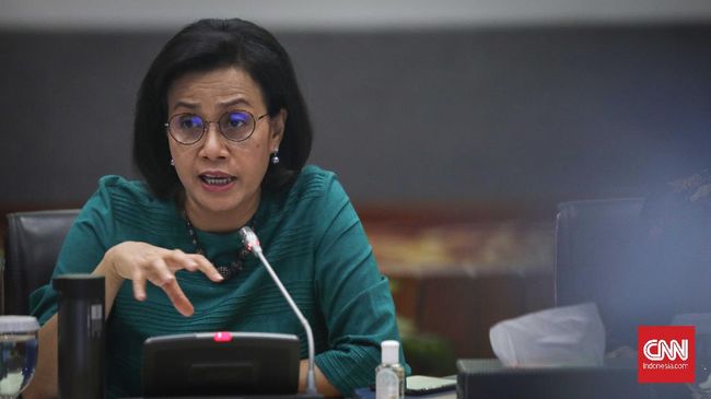 Sri Mulyani Batal Terbitkan Surat Utang Pandemic Bond