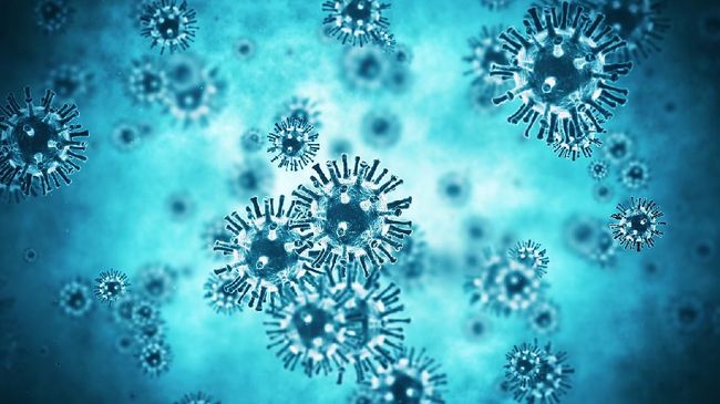 Corona Belum Usai, Netizen Panik Ada Virus Hanta dari China