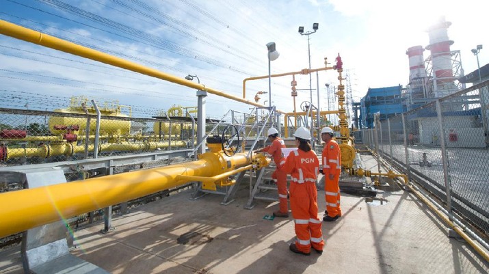 Laba PLN Ambles 96% di 1H-2020, Rugi Blue Bird Hampir Rp100 M