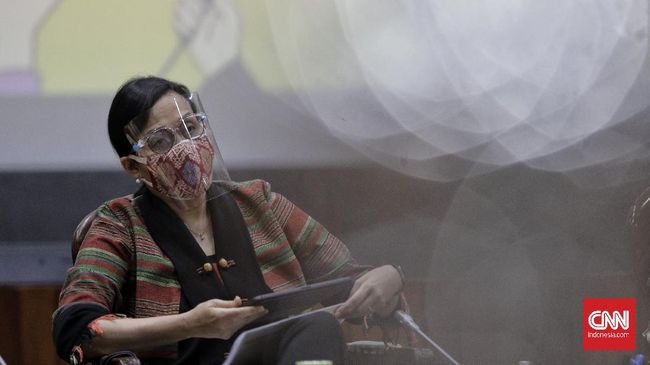 Alasan Sri Mulyani Atur Pajak Transaksi Digital RI