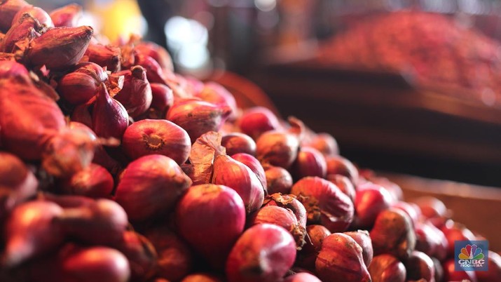  Harga Bawang Merah Masih Mahal, Ada Apa Ya?