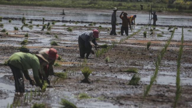 upah-buruh-tani-hingga-art-naik-pada-juni-2021