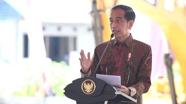 Jokowi Jamin Penghormatan dan Perlindungan Kelompok Disabilitas