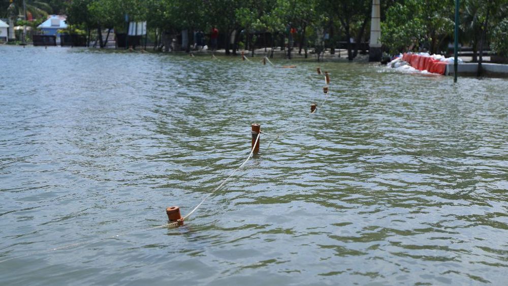 MELUAS, PSI MINTA ANIES BASWEDAN SEGERA ATASI BANJIR ROB DI KELURAHAN ANCOL