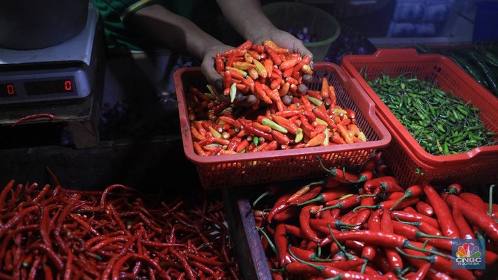 Harga Ayam, Telur, Gula, Naik Semua! Cabe Paling Parah...