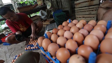Masih Mahal, Emak-emak Kurangi Beli Telur