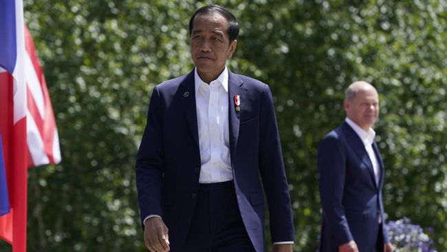 Misi Damai Jokowi di Ukraina dan Rusia, Mungkinkah Terwujud?