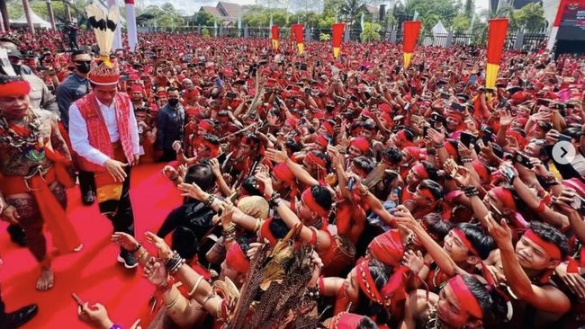 Lautan Merah Ribuan Masyarakat Dayak Sambut Jokowi di Kalbar