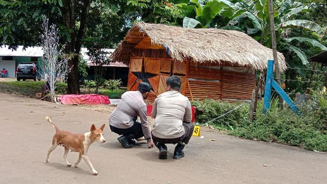 Rumah Victor Mambor Diteror Bom, AJI Minta Jurnalis Tak Gentar Suarakan Kebenaran