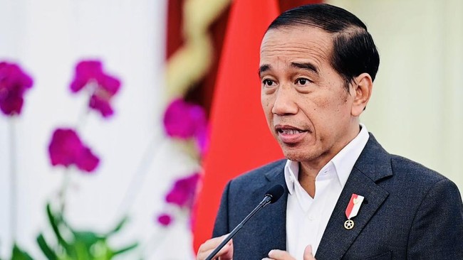 Jokowi Tunjuk Luhut Pimpin Satgas Percepatan Investasi di IKN