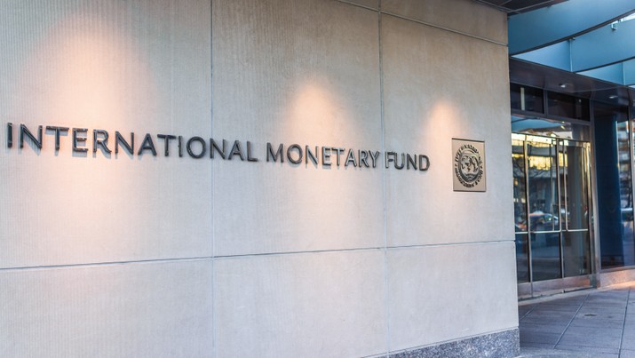 IMF Minta Jokowi Hapus Hilirisasi, Ini Biang Keroknya..