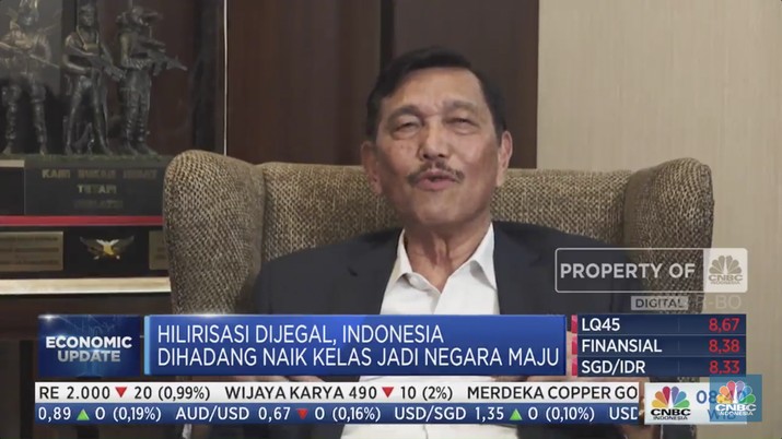 Investor RI China Lagi, China Lagi? Ini Kata Luhut