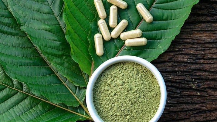 RI Sudah Dapat Miliaran dari Ekspor 'Narkoba Baru' Kratom