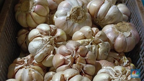 Gokil! RI Impor Bawang Putih Rp7 Triliun Lebih, dari Jerman