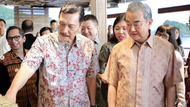 Luhut Gandeng China Kembangkan Sawah Padi di Kalimantan
