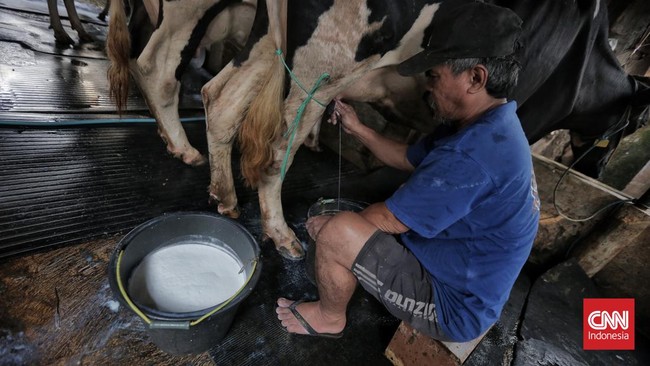 Apa Itu Sad Food? Komentar Warganet ke Menu Makan Bergizi Gratis yang Tuai Pro Kontra