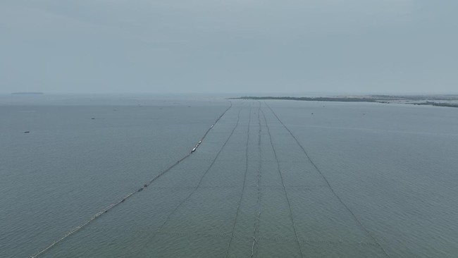 Pagar Laut Misterius 30 Km Terbangun Tanpa Pemerintah Tahu, Kok Bisa?