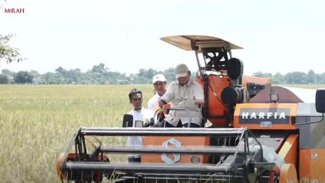 Prabowo Beli 1.000 Burung Hantu Buat Atasi Hama Tikus di Majalengka