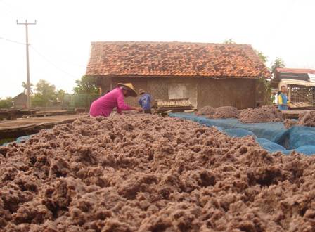 lounge-tarios-lovers