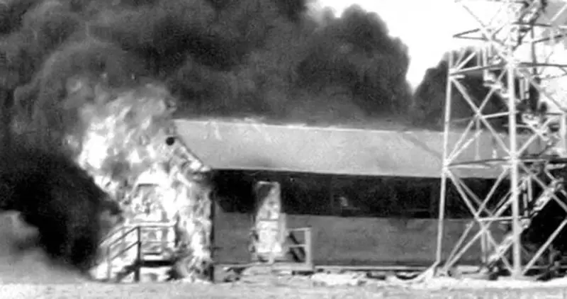 Binatang yang jadi inovasi perang? ini beberapa pelakunya.