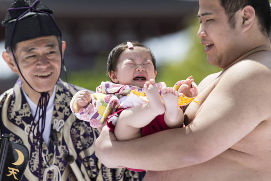 Festival Bayi Menangis Nakizumo Yang Berumur 400 Tahun Di Jepang