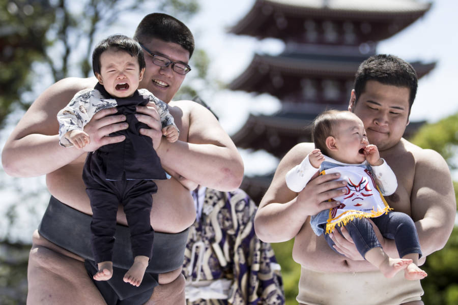 Festival Bayi Menangis Nakizumo Yang Berumur 400 Tahun Di Jepang