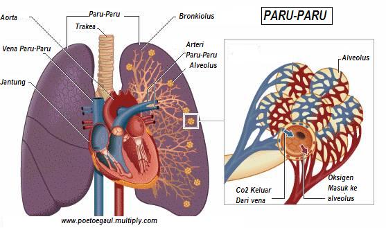 Benarkah Air pH tinggi Bermanfaat