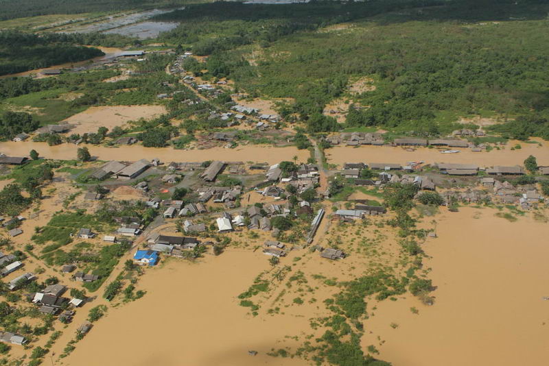 Selamatkan Hutan
