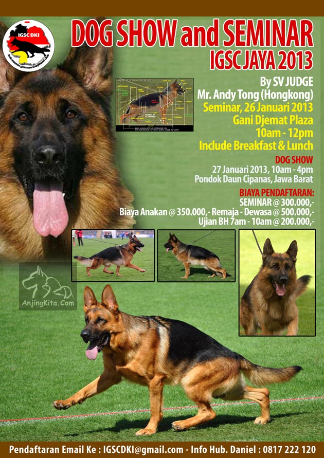 EVENTS FOR DOG LOVER'S (ALL BREED) -- ALWAYS UPDATE -- DOG SHOW, GATHERING, DLL