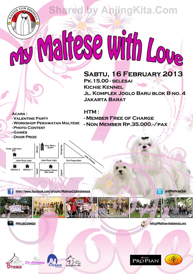 EVENTS FOR DOG LOVER'S (ALL BREED) -- ALWAYS UPDATE -- DOG SHOW, GATHERING, DLL