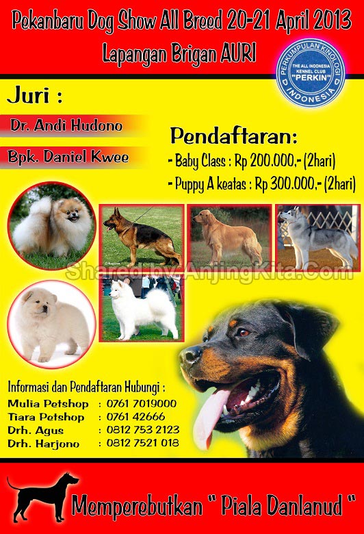 EVENTS FOR DOG LOVER'S (ALL BREED) -- ALWAYS UPDATE -- DOG SHOW, GATHERING, DLL