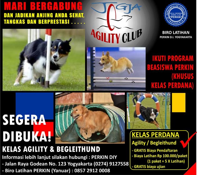 EVENTS FOR DOG LOVER'S (ALL BREED) -- ALWAYS UPDATE -- DOG SHOW, GATHERING, DLL