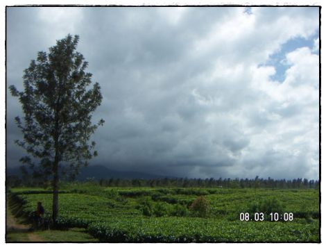 kaskus-image